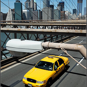 new york19
