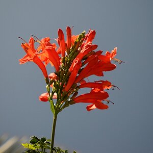 DSC 0823