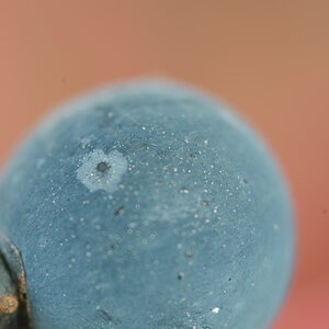 105mm; 2xTK