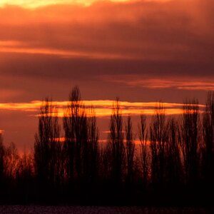 Besen in der Sonne