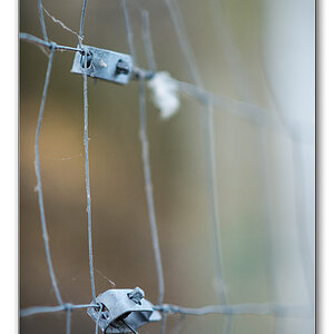 dof