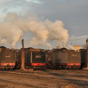 Tenderparade in Xibolizhan
(0229)