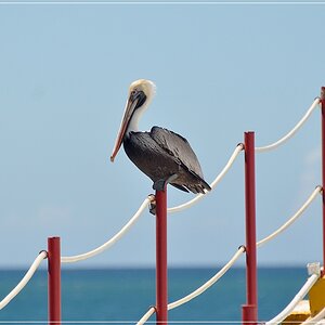 DSC 0057