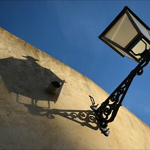 aacomp Extremadura 20120424 8971