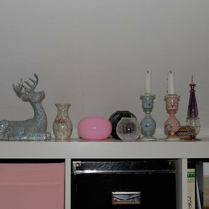 DSC 0084 011