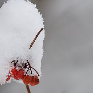 20121206 1835357