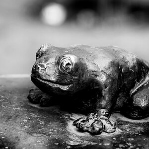 frosch brunnen