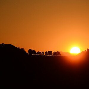 sonne