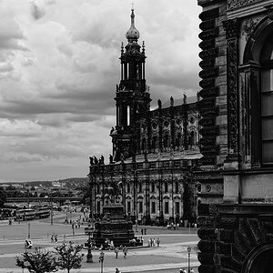 DSC3654 NFF