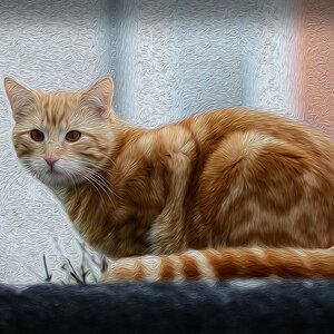 comp DSC 7615a