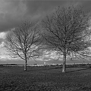 THF 0002 121230 SW 1024