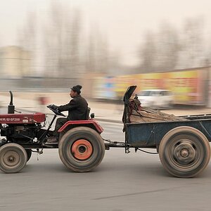 Trecker in Dun Huang
1195