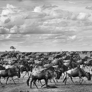 aacomp Kenia 20111017 17225a sw