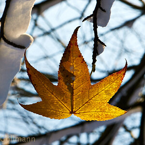 winter001