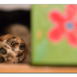 versteck
