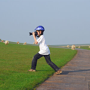 Schafsfotograf