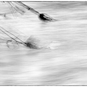LichtDSC 7881