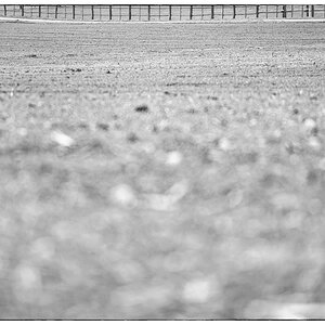 LichtDSC 7884