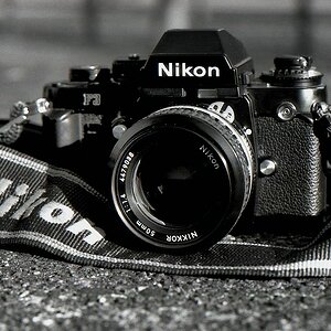 comp img937 bearbeitet

aufgenommen mit der F801 und dem Nikon AF 50mm 1.8 auf  Kodak T-MAX 100