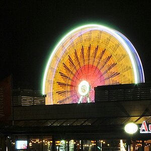 comp 000 0288