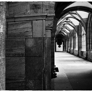 BaselDSC 3029
