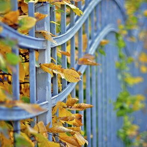 Herbstimpression in Leipzig