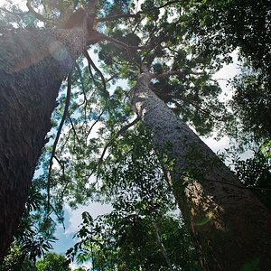 Reportage Australien 3