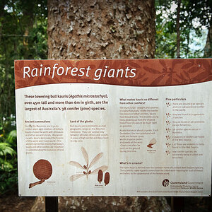 Reportage Australien 4