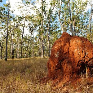 Reportage Australien 9