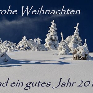 Hornisgrinde - im Scharzwald