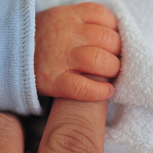 Hand