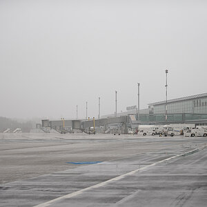 20090228 7700 [D700]   F2,8 70,00mm