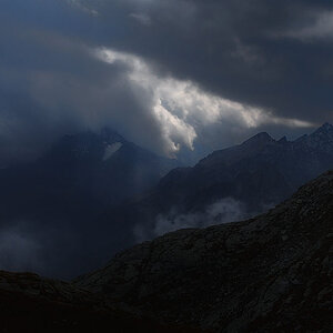 knDSC 1529
