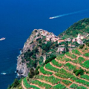 Corniglia 1 800x532