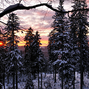 Abendstimmung