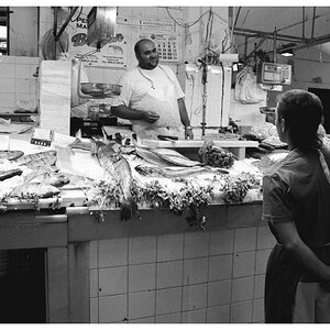 Markthalle Cadiz V.tif.