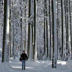 20090214 123750 NFF Bayerwald