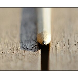 Stift
(Sigma 70-200mm F2,8 EX DG Makro HSM II)