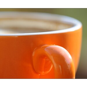 Kaum noch Kaffee
(Sigma 70-200mm F2,8 EX DG Makro HSM II)