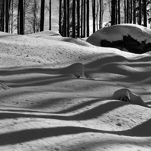 20090214 125017 NFF Bayerwald