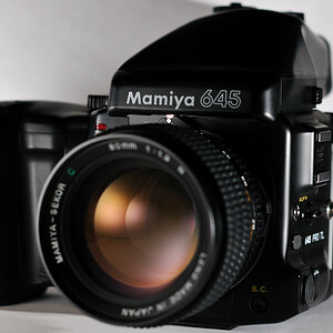 Mamiya 645pro TL