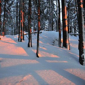 20090214 171545 NFF Bayerwald