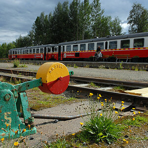 DSC 1371neu900