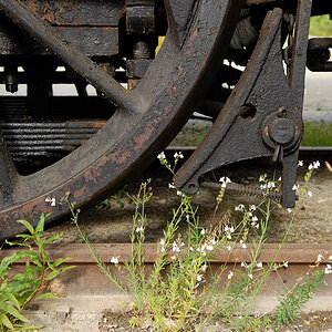 DSC 1377neu900