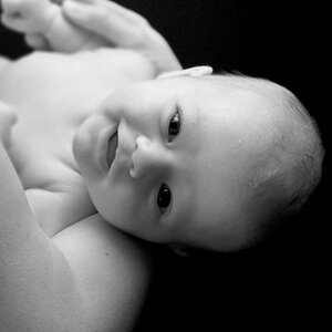 Strobist Fotostudio II