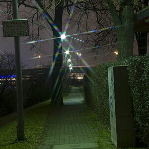 Bild Nr 0004