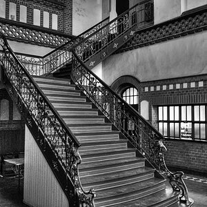 S5PRO 20090212 1093 1 2 BW