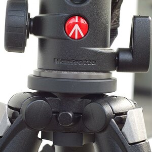 Manfrotto 055XPRPB mit Stefan Lenz Umbau und MF 488 RC4