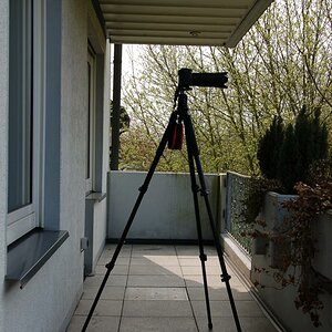 Manfrotto 055XPRPB mit Stefan Lenz Umbau und MF 488 RC4
