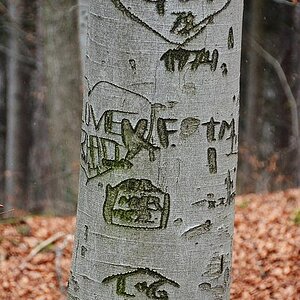 love letters